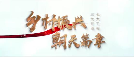 《乡村振兴 朝天篇章》里我做过的事儿
