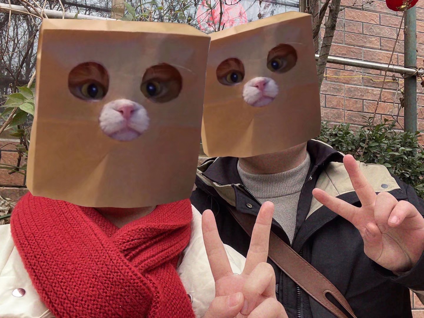 嘿嘿！