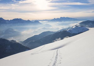 不如见一面 | 雪山 草甸 在农博园看到的西岭雪山。